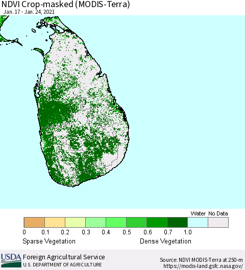 Sri Lanka Cropland NDVI (Terra-MODIS) Thematic Map For 1/21/2021 - 1/31/2021