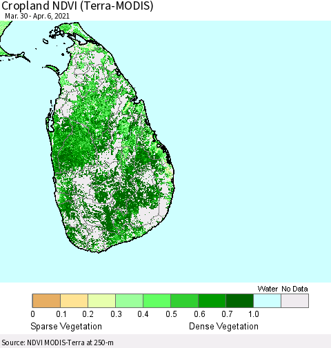 Sri Lanka Cropland NDVI (Terra-MODIS) Thematic Map For 3/30/2021 - 4/6/2021