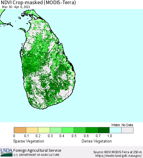 Sri Lanka NDVI Crop-masked (MODIS-Terra) Thematic Map For 4/1/2021 - 4/10/2021