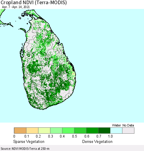 Sri Lanka Cropland NDVI (Terra-MODIS) Thematic Map For 4/7/2021 - 4/14/2021