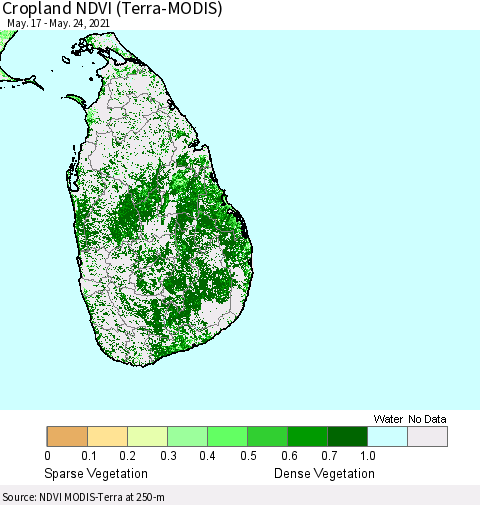 Sri Lanka Cropland NDVI (Terra-MODIS) Thematic Map For 5/17/2021 - 5/24/2021