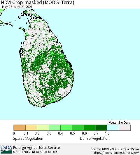 Sri Lanka Cropland NDVI (Terra-MODIS) Thematic Map For 5/21/2021 - 5/31/2021