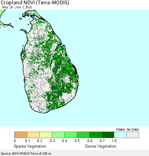 Sri Lanka Cropland NDVI (Terra-MODIS) Thematic Map For 5/25/2021 - 6/1/2021