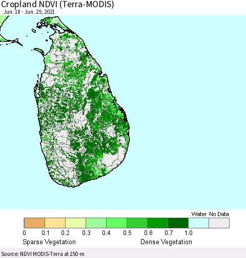 Sri Lanka Cropland NDVI (Terra-MODIS) Thematic Map For 6/18/2021 - 6/25/2021