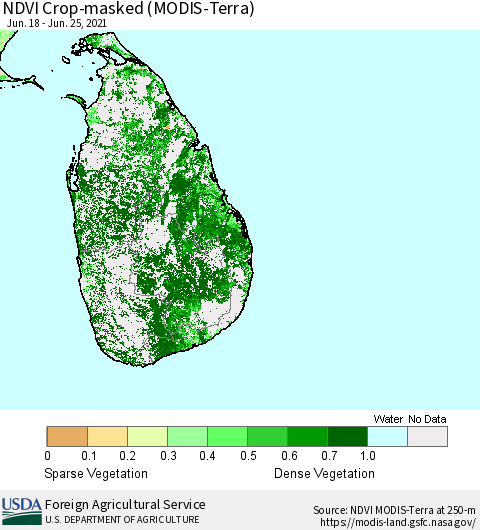 Sri Lanka Cropland NDVI (Terra-MODIS) Thematic Map For 6/21/2021 - 6/30/2021