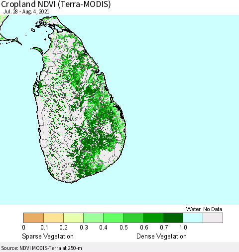 Sri Lanka Cropland NDVI (Terra-MODIS) Thematic Map For 7/28/2021 - 8/4/2021