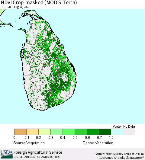 Sri Lanka Cropland NDVI (Terra-MODIS) Thematic Map For 8/1/2021 - 8/10/2021