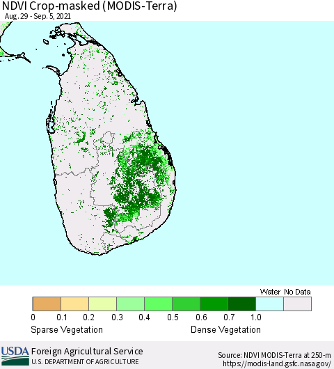 Sri Lanka Cropland NDVI (Terra-MODIS) Thematic Map For 9/1/2021 - 9/10/2021