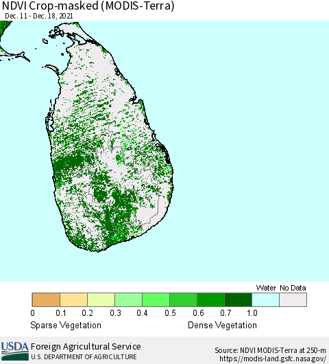 Sri Lanka Cropland NDVI (Terra-MODIS) Thematic Map For 12/11/2021 - 12/20/2021