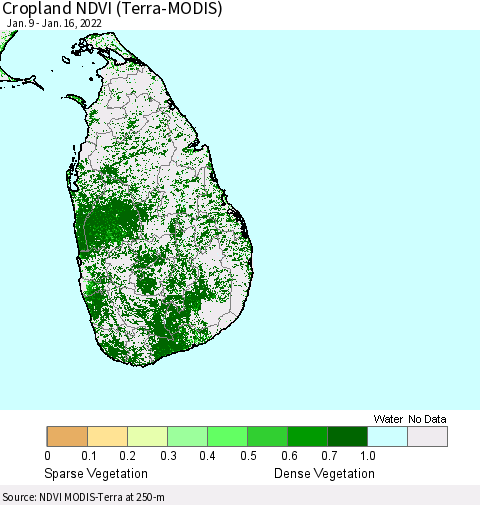 Sri Lanka Cropland NDVI (Terra-MODIS) Thematic Map For 1/9/2022 - 1/16/2022
