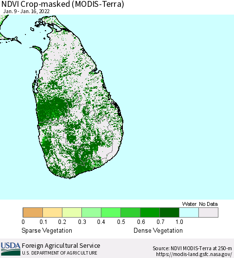 Sri Lanka Cropland NDVI (Terra-MODIS) Thematic Map For 1/11/2022 - 1/20/2022