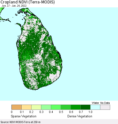Sri Lanka Cropland NDVI (Terra-MODIS) Thematic Map For 1/17/2022 - 1/24/2022