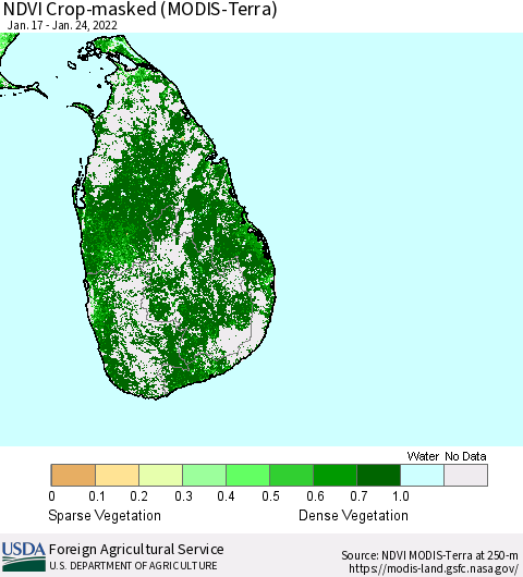 Sri Lanka Cropland NDVI (Terra-MODIS) Thematic Map For 1/21/2022 - 1/31/2022