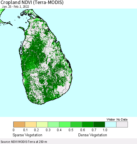 Sri Lanka Cropland NDVI (Terra-MODIS) Thematic Map For 1/25/2022 - 2/1/2022