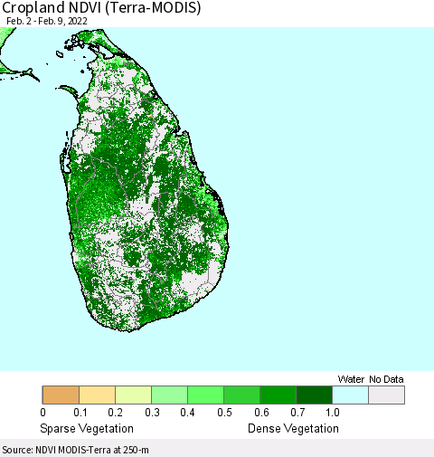 Sri Lanka Cropland NDVI (Terra-MODIS) Thematic Map For 2/2/2022 - 2/9/2022