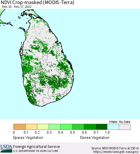 Sri Lanka Cropland NDVI (Terra-MODIS) Thematic Map For 2/11/2022 - 2/20/2022