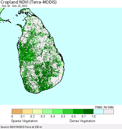 Sri Lanka Cropland NDVI (Terra-MODIS) Thematic Map For 2/18/2022 - 2/25/2022