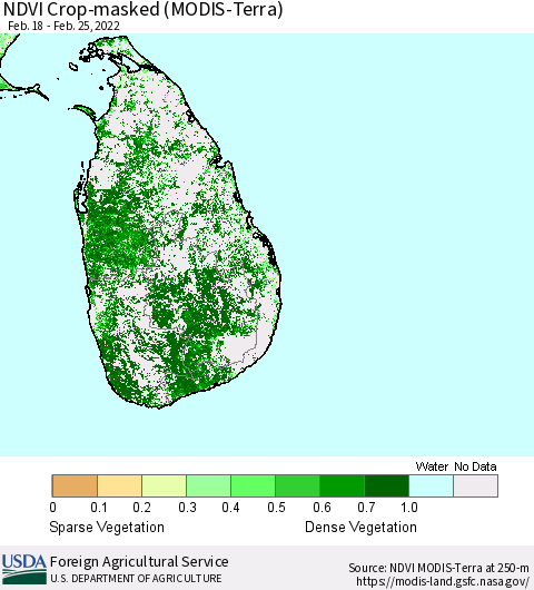 Sri Lanka Cropland NDVI (Terra-MODIS) Thematic Map For 2/21/2022 - 2/28/2022