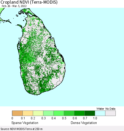 Sri Lanka Cropland NDVI (Terra-MODIS) Thematic Map For 2/26/2022 - 3/5/2022