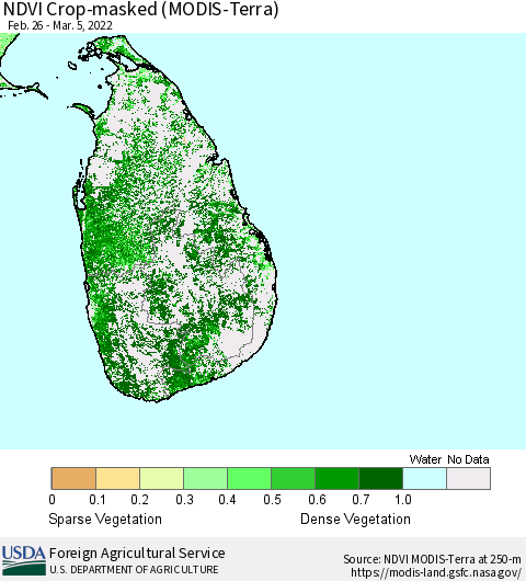 Sri Lanka Cropland NDVI (Terra-MODIS) Thematic Map For 3/1/2022 - 3/10/2022
