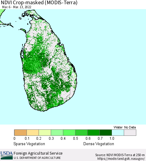 Sri Lanka Cropland NDVI (Terra-MODIS) Thematic Map For 3/11/2022 - 3/20/2022