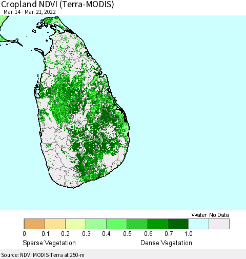 Sri Lanka Cropland NDVI (Terra-MODIS) Thematic Map For 3/14/2022 - 3/21/2022