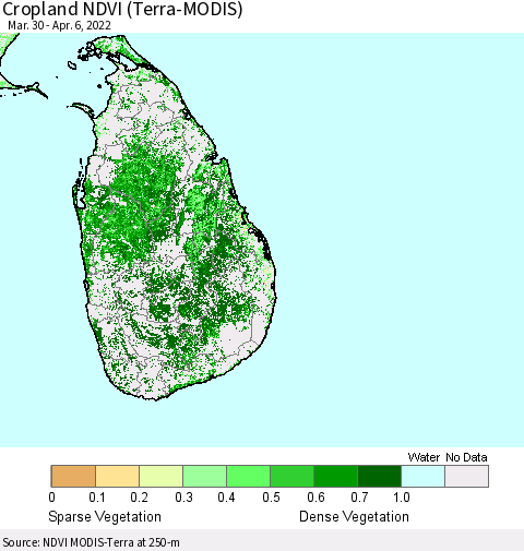 Sri Lanka Cropland NDVI (Terra-MODIS) Thematic Map For 3/30/2022 - 4/6/2022
