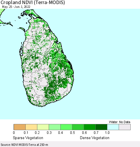 Sri Lanka Cropland NDVI (Terra-MODIS) Thematic Map For 5/25/2022 - 6/1/2022