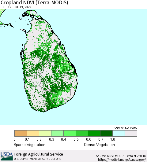 Sri Lanka Cropland NDVI (Terra-MODIS) Thematic Map For 7/11/2022 - 7/20/2022