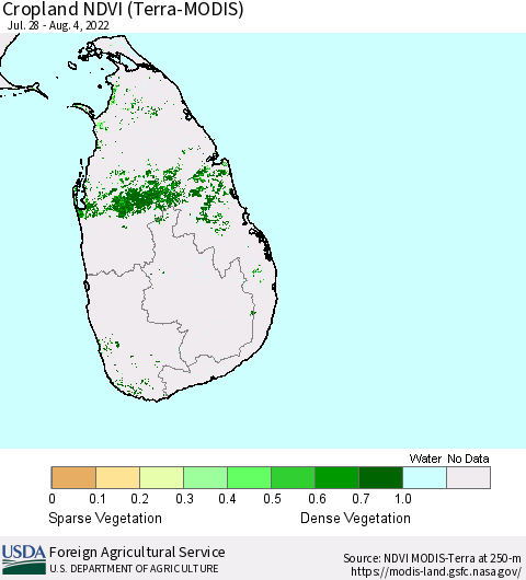 Sri Lanka Cropland NDVI (Terra-MODIS) Thematic Map For 8/1/2022 - 8/10/2022