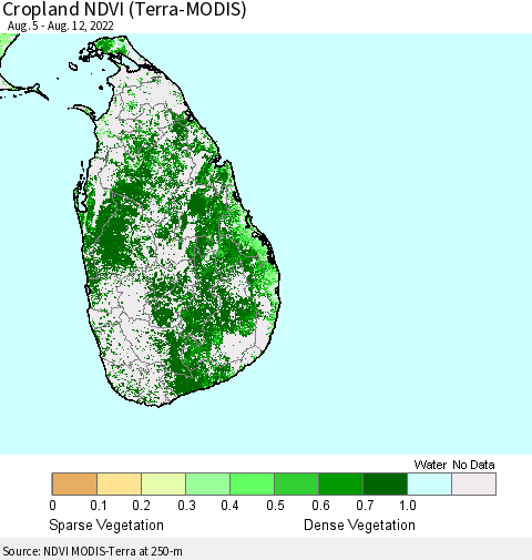 Sri Lanka Cropland NDVI (Terra-MODIS) Thematic Map For 8/5/2022 - 8/12/2022