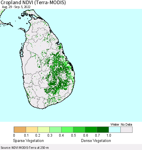 Sri Lanka Cropland NDVI (Terra-MODIS) Thematic Map For 8/29/2022 - 9/5/2022