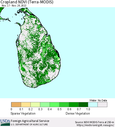 Sri Lanka Cropland NDVI (Terra-MODIS) Thematic Map For 11/21/2022 - 11/30/2022