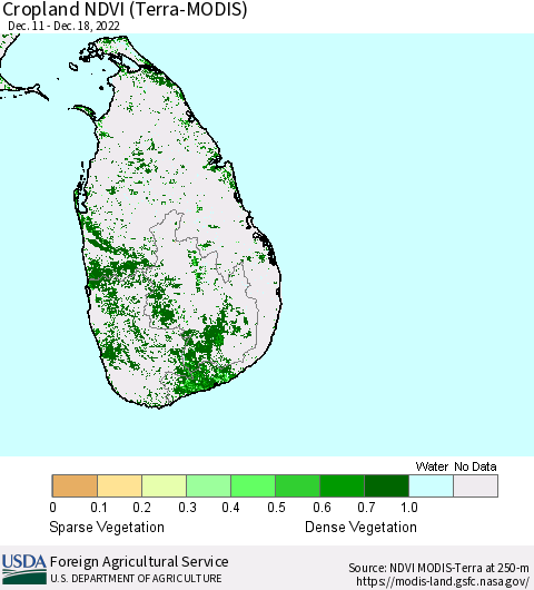 Sri Lanka Cropland NDVI (Terra-MODIS) Thematic Map For 12/11/2022 - 12/20/2022