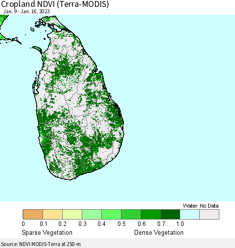 Sri Lanka Cropland NDVI (Terra-MODIS) Thematic Map For 1/9/2023 - 1/16/2023