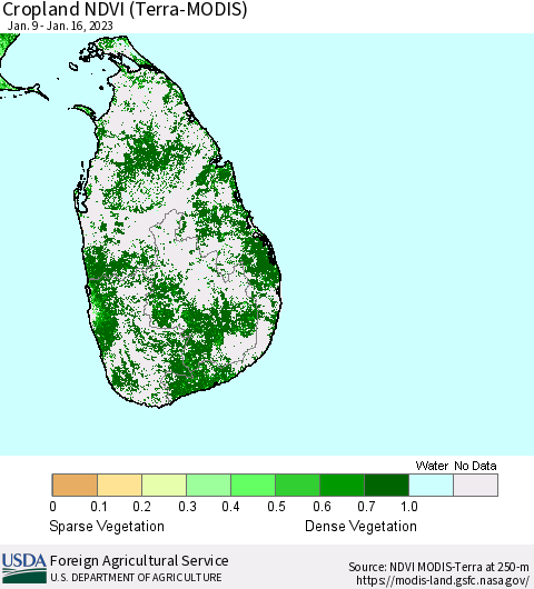 Sri Lanka Cropland NDVI (Terra-MODIS) Thematic Map For 1/11/2023 - 1/20/2023