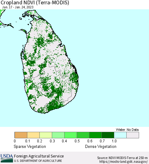 Sri Lanka Cropland NDVI (Terra-MODIS) Thematic Map For 1/21/2023 - 1/31/2023