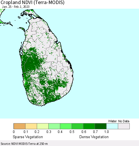Sri Lanka Cropland NDVI (Terra-MODIS) Thematic Map For 1/25/2023 - 2/1/2023