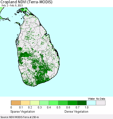 Sri Lanka Cropland NDVI (Terra-MODIS) Thematic Map For 2/2/2023 - 2/9/2023