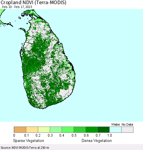 Sri Lanka Cropland NDVI (Terra-MODIS) Thematic Map For 2/10/2023 - 2/17/2023