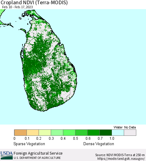 Sri Lanka Cropland NDVI (Terra-MODIS) Thematic Map For 2/11/2023 - 2/20/2023
