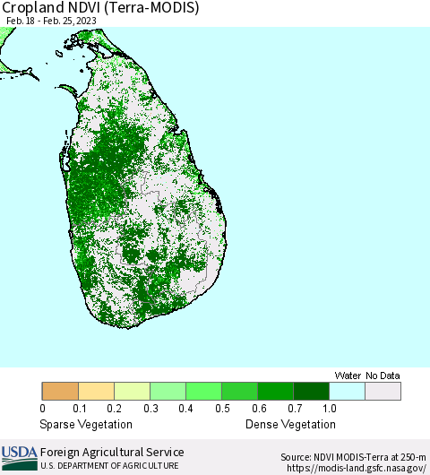 Sri Lanka Cropland NDVI (Terra-MODIS) Thematic Map For 2/21/2023 - 2/28/2023
