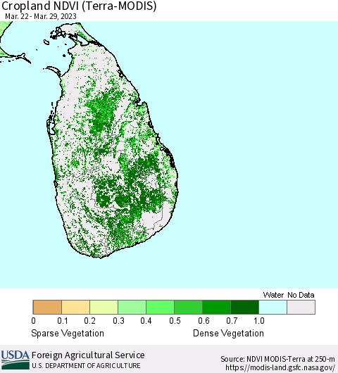 Sri Lanka Cropland NDVI (Terra-MODIS) Thematic Map For 3/21/2023 - 3/31/2023