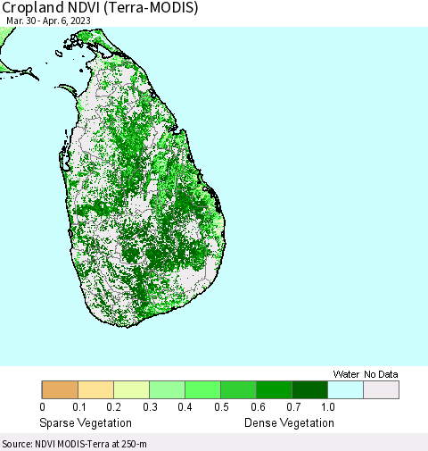 Sri Lanka Cropland NDVI (Terra-MODIS) Thematic Map For 3/30/2023 - 4/6/2023