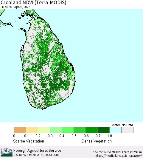 Sri Lanka Cropland NDVI (Terra-MODIS) Thematic Map For 4/1/2023 - 4/10/2023