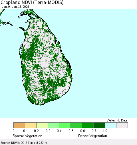 Sri Lanka Cropland NDVI (Terra-MODIS) Thematic Map For 1/9/2024 - 1/16/2024