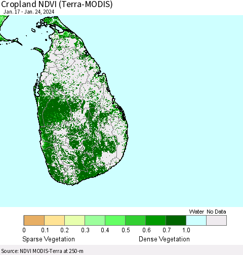Sri Lanka Cropland NDVI (Terra-MODIS) Thematic Map For 1/17/2024 - 1/24/2024