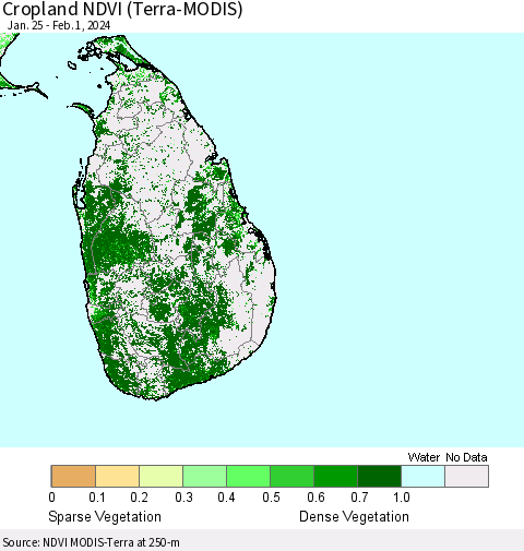 Sri Lanka Cropland NDVI (Terra-MODIS) Thematic Map For 1/25/2024 - 2/1/2024