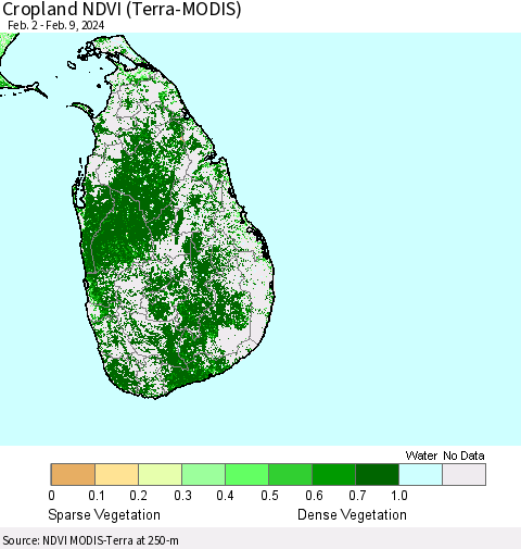 Sri Lanka Cropland NDVI (Terra-MODIS) Thematic Map For 2/2/2024 - 2/9/2024