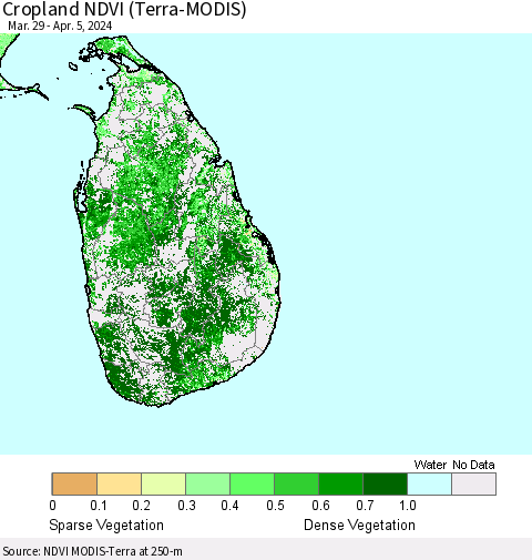 Sri Lanka Cropland NDVI (Terra-MODIS) Thematic Map For 3/29/2024 - 4/5/2024